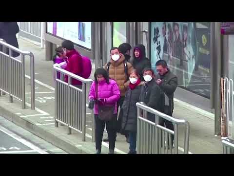 化石燃料の排出は早期死亡者の20％に拍車をかける可能性がある (Fossil fuel emission may spur 20% of early deaths)