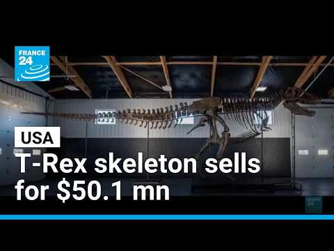 T. rex skeleton fetches record $50.1 mn at US auction
