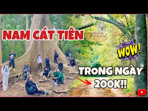 Phượt Nam Cát Tiên Đồng Nai Trong Ngày Chỉ Với 200K Quậy Bung Nóc Cùng Hội Bạn | Phong Nè TV