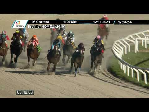 CARRERAS HIPODROMO LAS PIEDRAS - 211112 c09 1° TAP IT GAL
