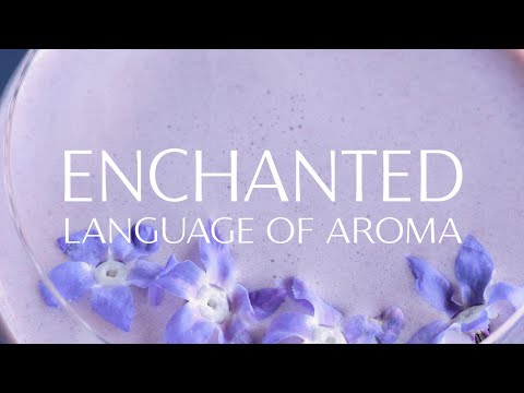 download lagu mp3 mp4 Aroma Earl Grey, download lagu Aroma Earl Grey gratis, unduh video klip Aroma Earl Grey