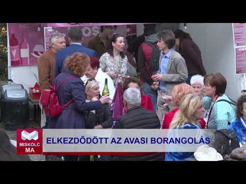 Videó előnézet
