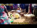 Tharaka Traditional Cultural Dance In December 2023 See How People Dance Circumcision Zulu Citizen