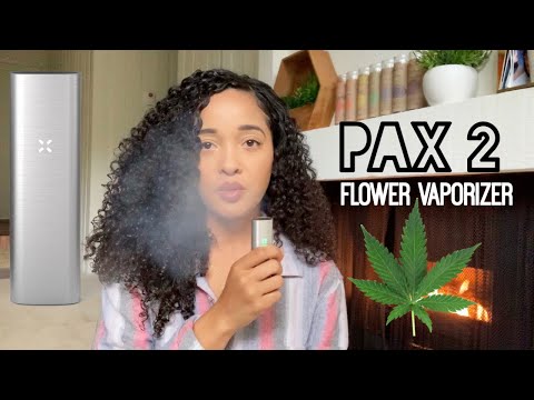 PAX 2 Review | Smoke With Me | Delilah’s Day