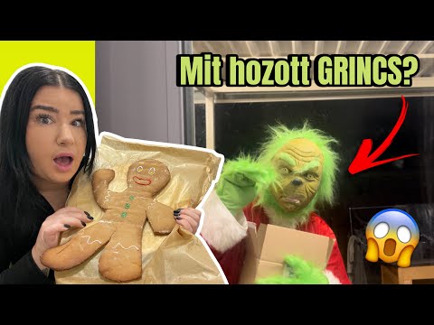 SOHA *ne* süss XXL mézeskalács EMBERT, ha *GRINCS* hozta a hozzávalókat!😱🎁🎄