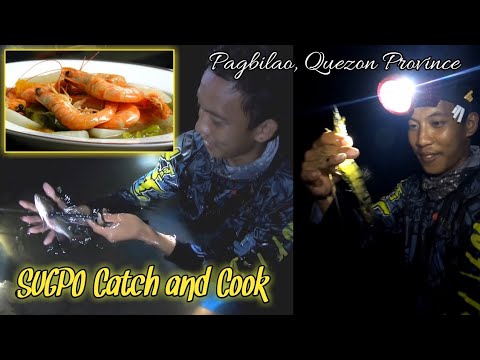 CATCHING SHRIMP |PANGINGILAW 5 |CATCH AND COOK |SINIGANG NA HIPON