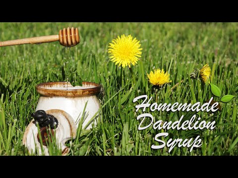 Dandelion Syrup Recipe and Canning-  AKA Poor Mans Honey