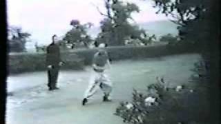 T T Liang Tai Chi Sword