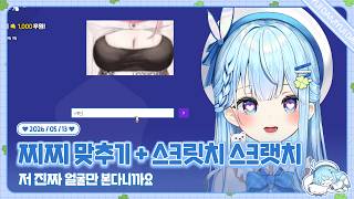 260513 치지직 스트리머 찟찌 보고 맞추기 + 스크릿치 스크랫치
