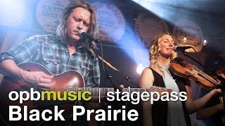 Black Prairie - Performance and Interview (opbmusic)