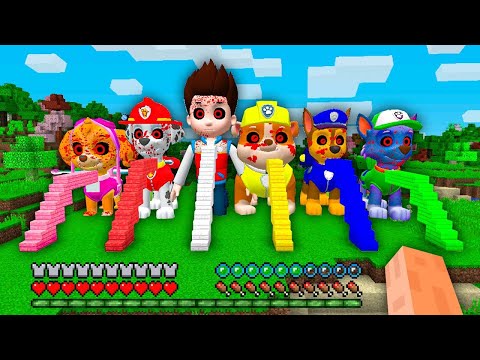STAIRCASE TO ALL PAW PATROL RYDER CHASE MARSHALL RUBBLE ROCKY SKYE EVEREST ZUMA in Minecraft