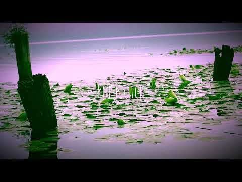 The Waked - Pick Me Up (Feat. BELLA WINTH)