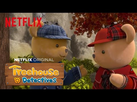 Ouzel The Water Bird | Treehouse Detectives
