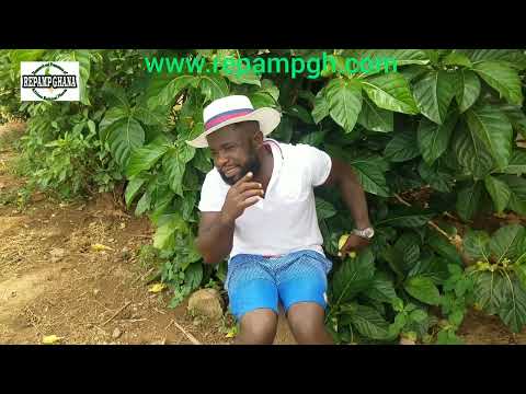Menstrual Pain Natural Herbal Medicinesn part 9 Noni fruit ( Morinda citrifolia )