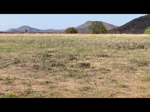RIO SÂO FRANCISCO EM SENTO SÈ BAHIA PARTE 2