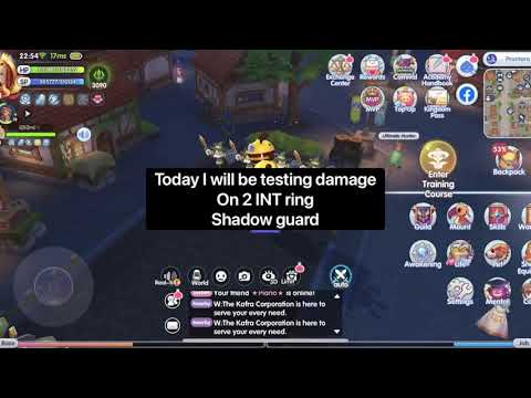 ROX | 1H HP Damage Test Divine shield/ Tome of exorcism (RECAP) or Shadow guard?