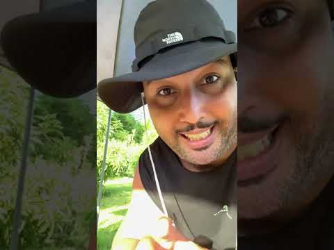 سيمو شريف سرقوا دجاج ديالي ضيافة