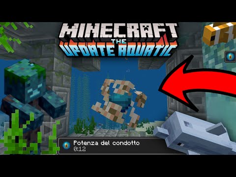 MinecraftPE 1.5.0.1 BETA/Delfini, rovine sottomarine,condotto Download e Review ITA