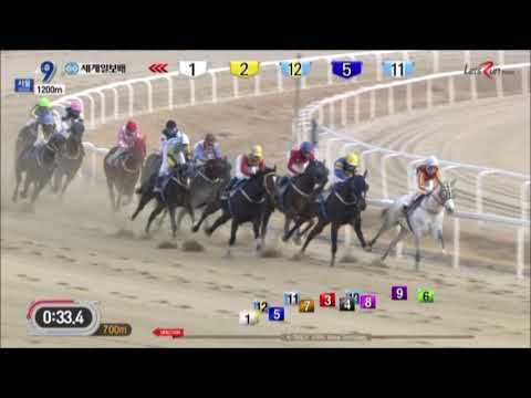 Segye Ilbo Cup 2019 (English)  - Mask