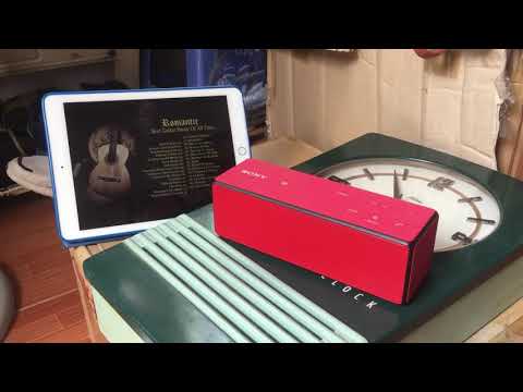 фото sony srs-x33 0