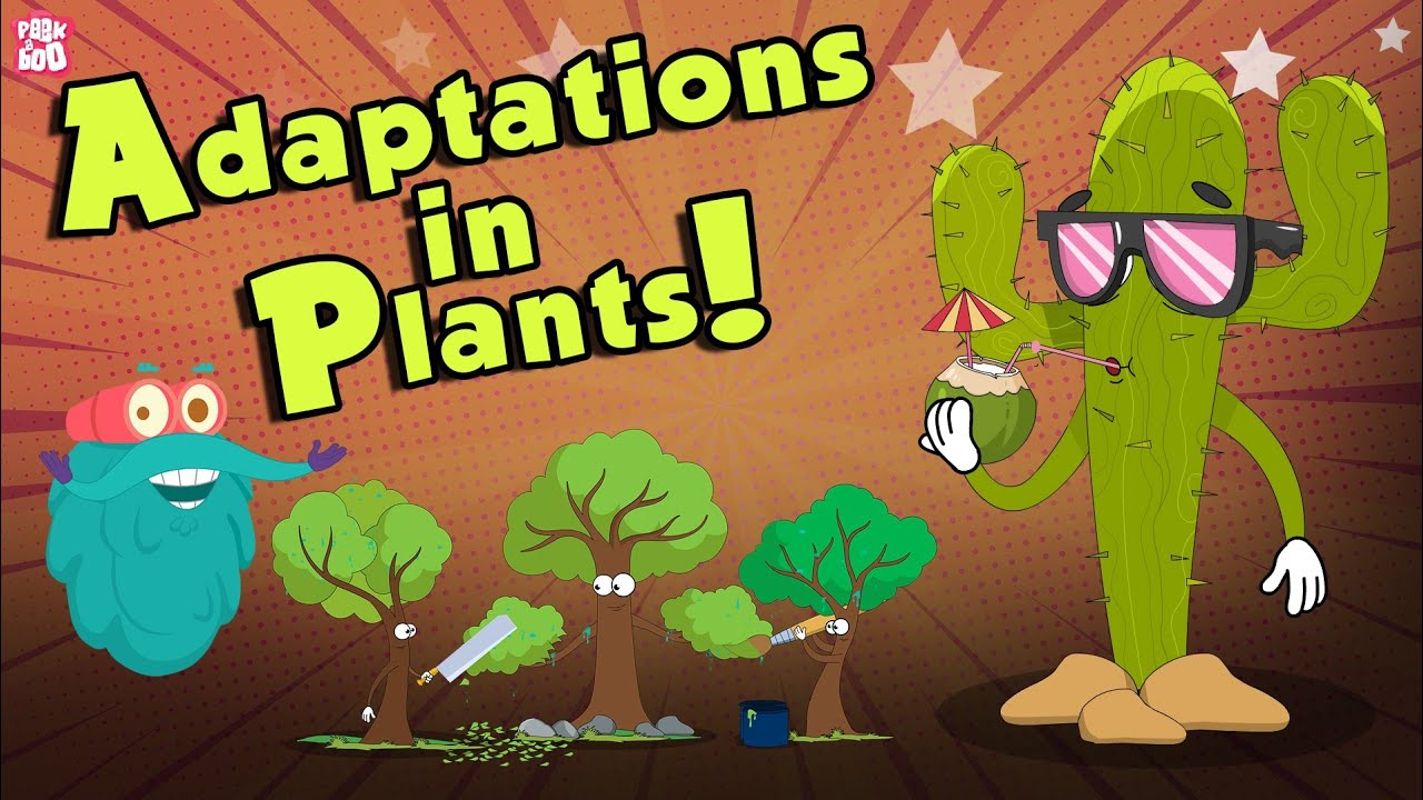 How do plants adapt underwater?