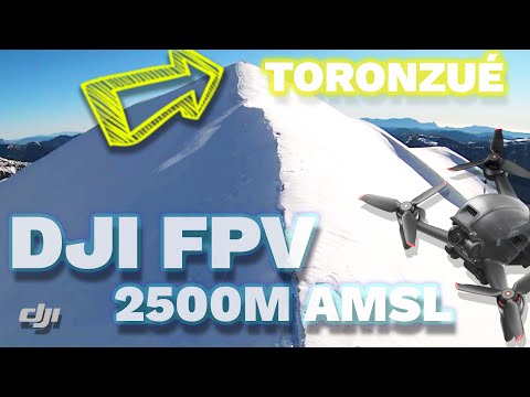 Toronzué FPV