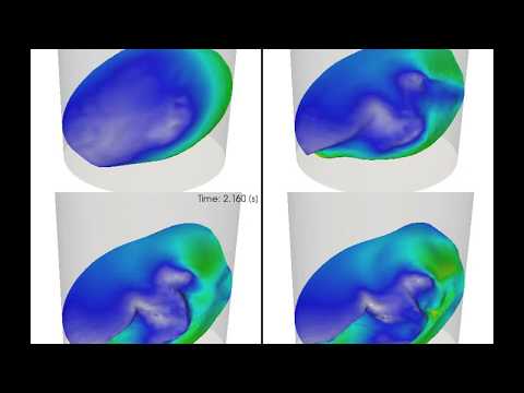Numerical simulation of free surface flow in shaken cylinder