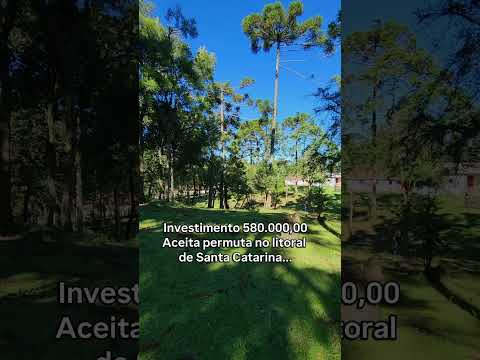 🌿 CHÁCARA À VENDA EM CONTENDA | DIVISA COM ARAUCÁRIA 🌿