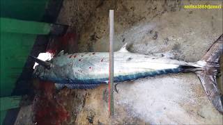 * Work Hard, Play Hard & Pray Harder...