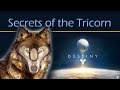 Destiny - Secrets of the Tricorn 