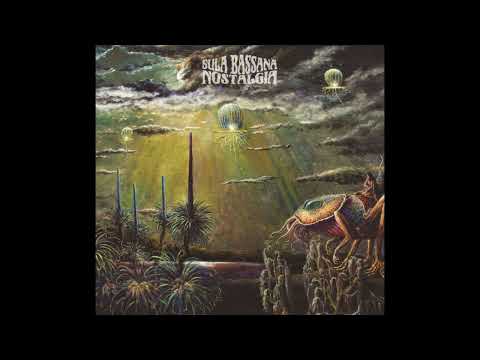 sula bassana ~ nostalgia