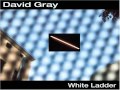 04-we're Not Right-David Grey