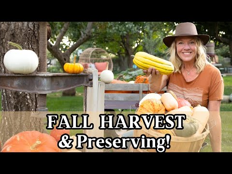 Fall Harvest & What We Are Preserving for Our Winter Self Sufficiency