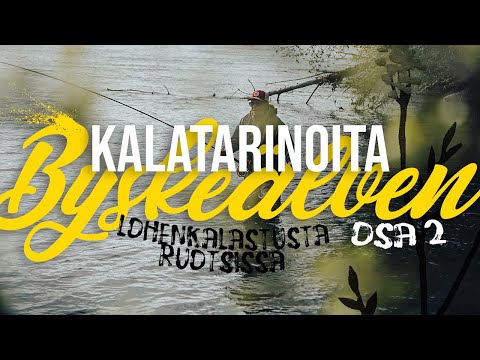 KALATARINOITA - 10KG LOHI BYSKELLÄ 2/2