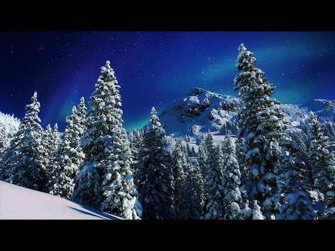 Winter Instrumental Music - Spruce Forest