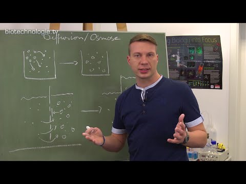 Gespräch Hypertonie und ihre Komplikationen Stufe 2 Hypertonie Grad 2