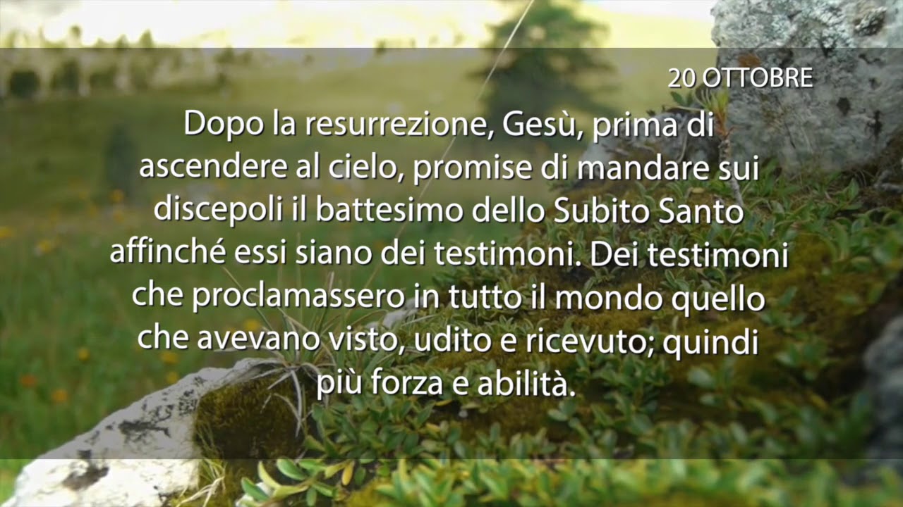 Meditazione del 20 Ottobre 2018 “IL TESTIMONE OCULARE”
