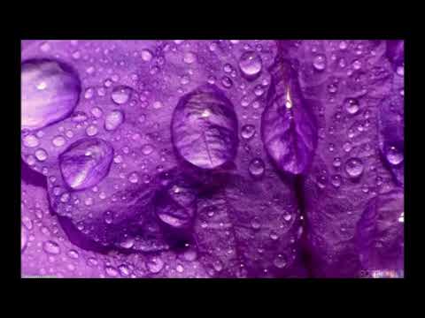 Chew Fu feat. Steve Clisby - Purple Rain (Mousse T's Home Alone Mix) (Slowed)