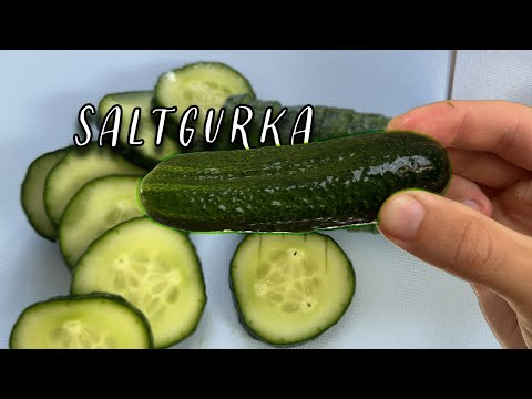 Saltgurka | Recept