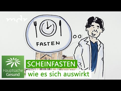 Warum Scheinfasten tatsächlich funktioniert | Hauptsache gesund | MDR