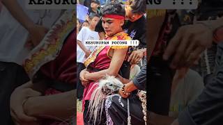 Download lagu serem !! pemain jaranan kesurupan pocong #jaranan #kudalumping #kesurupan mp3 Download lagu serem !! pemain jaranan kesurupan pocong #jaranan #kudalumping #kesurupan mp3