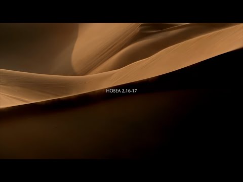 WÜSTENHEIL | NEW ALBUM | 15/09/23