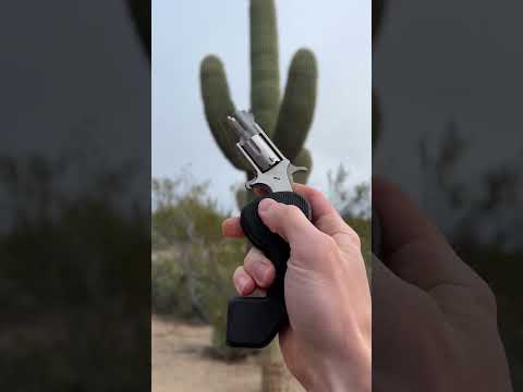 Shooting North American Arms folding revolver .22MAG