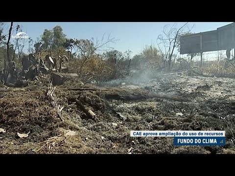 Mudança do Clima: ampliação do uso de fundo nacional tem aprovação na CAE