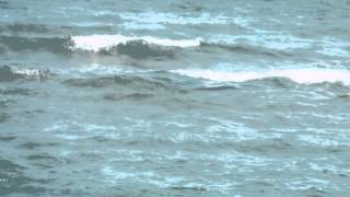 Salif Keita - Bobo / Kuzey Kıbrıs Magosa Sahili