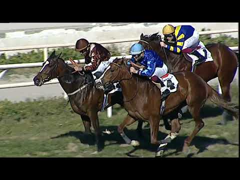 Napoli Galoppo 14/02/2023 - 2ª corsa