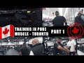 Training in Pure Muscle Gym - TORONTO - Part 1