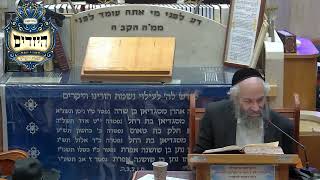 הרב משה כהן | הלכות | יזדים (בית הכנסת מוסאיוף) - התמונה מוצגת ישירות מתוך אתר האינטרנט יוטיוב. זכויות היוצרים בתמונה שייכות ליוצרה. קישור קרדיט למקור התוכן נמצא בתוך דף הסרטון