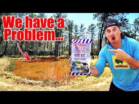 FIRST TIME Fishing My BACKYARD CATFISH POND!! --We have a problem...