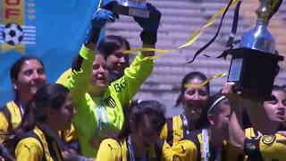 Pe�arol campe�n del Clausura y la temporada 2019